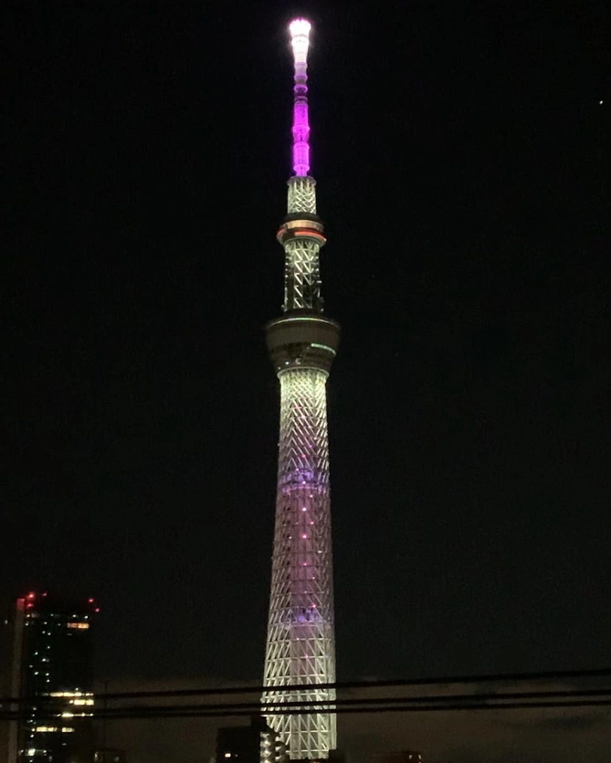 東京スカイツリー通常ライティング「雅」イメージ