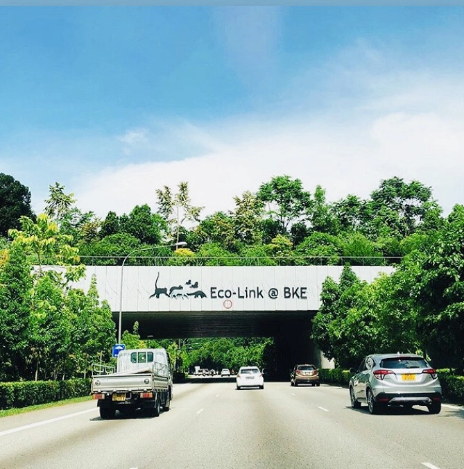 シンガポールの道路