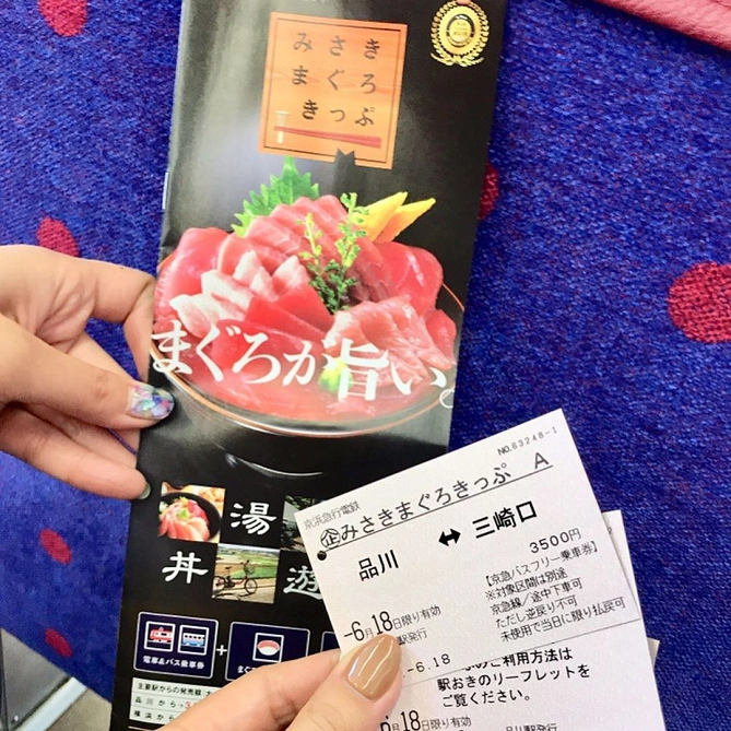 お得な電車切符