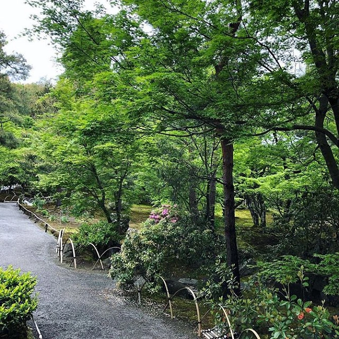 天龍寺の拝観方法とは？
