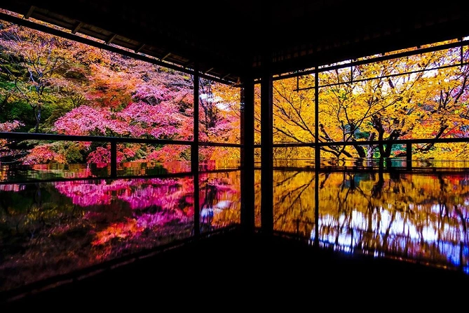 瑠璃光院　秋