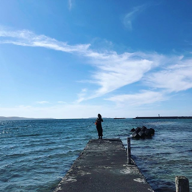 礼文島の港