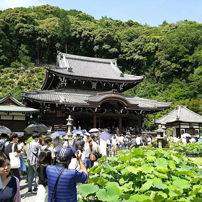 三室戸寺