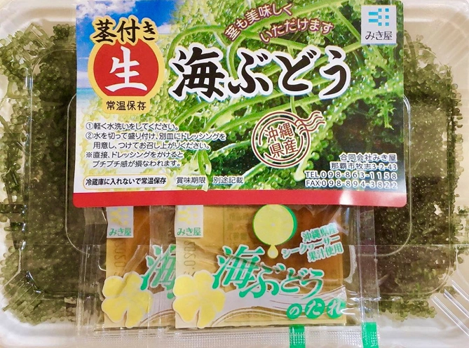 海ぶどう 