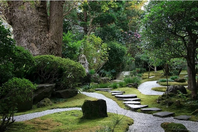 写真を撮影するのにも絶好のポイントです
