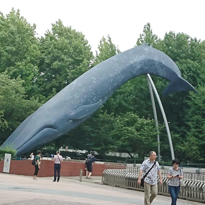 シロナガスクジラ実物大模型