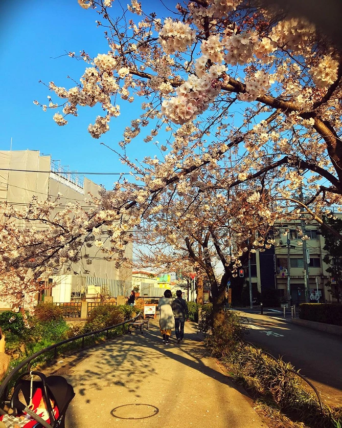 下北沢緑道