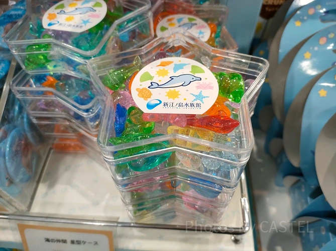 新江ノ島水族館（えのすい）お土産：星型ケース