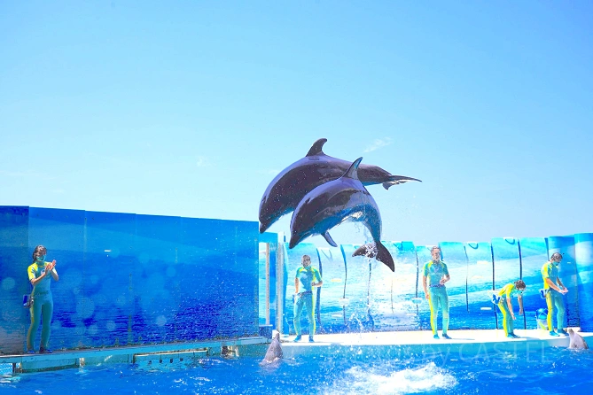 新江ノ島水族館