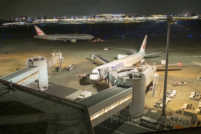 夜の羽田空港