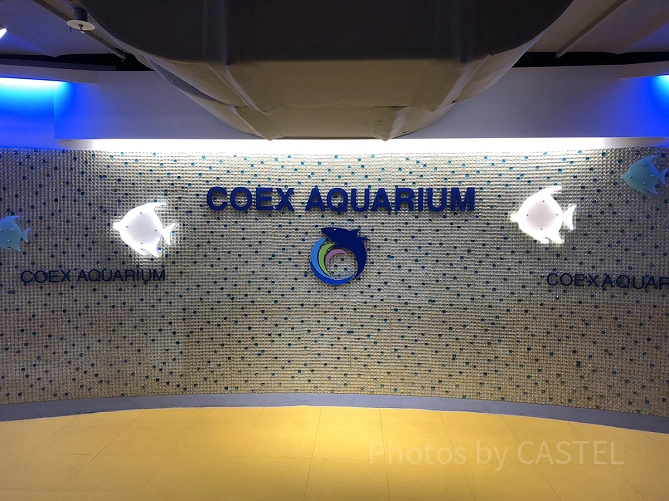 コエックスモール内にある水族館