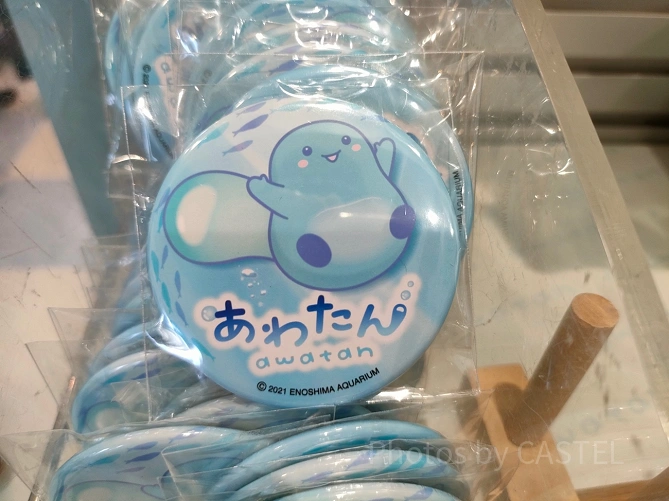 新江ノ島水族館（えのすい）お土産：缶バッジ