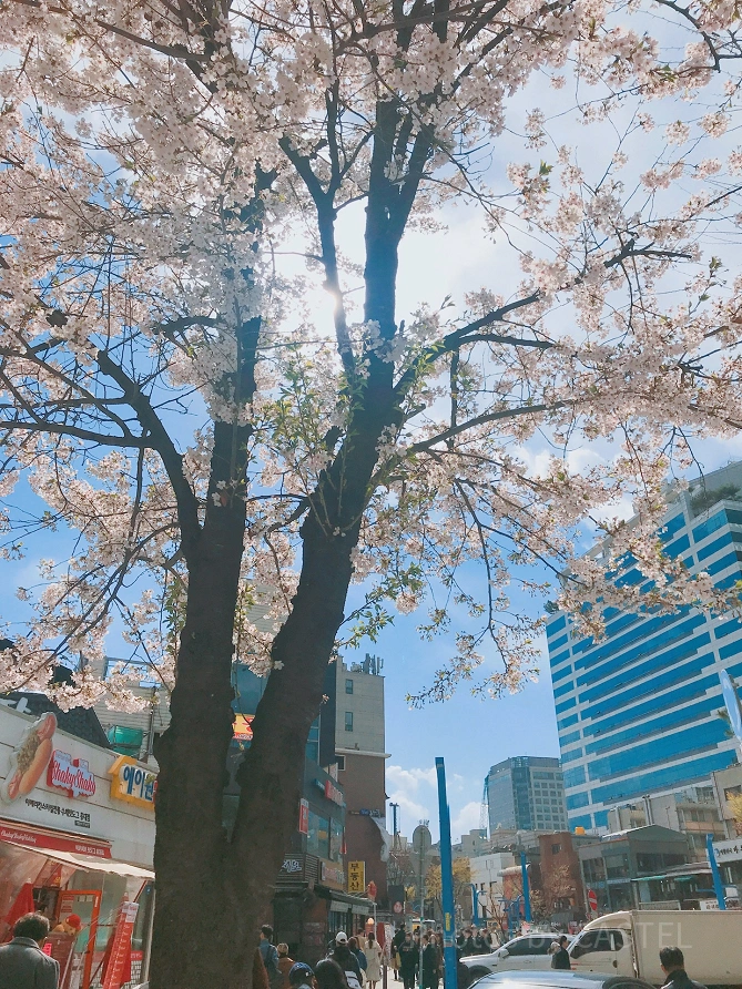 花まつり