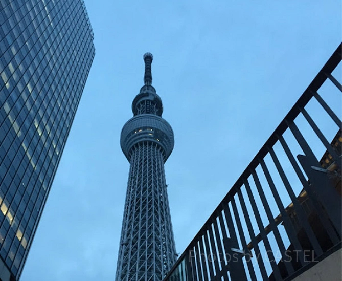 東京スカイツリー