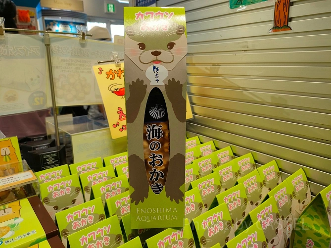 新江ノ島水族館（えのすい）お土産：カワウソおかき
