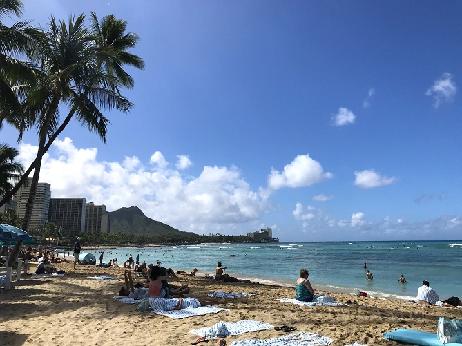 ハワイの海