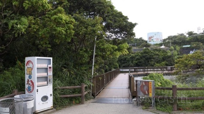 鯉のえさ自動販売機／「沖縄こどもの国」