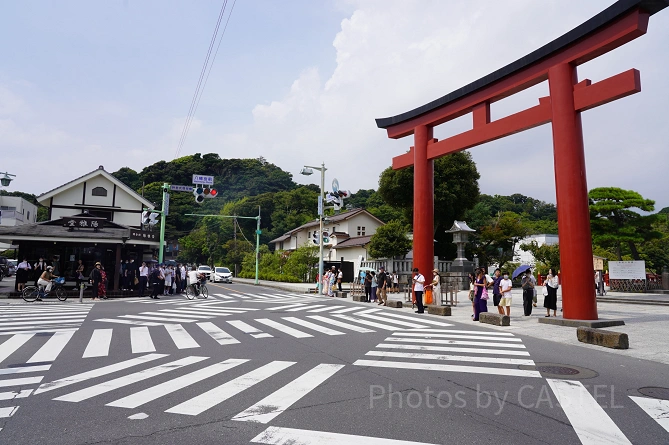 鶴岡八幡宮：入口の鳥居