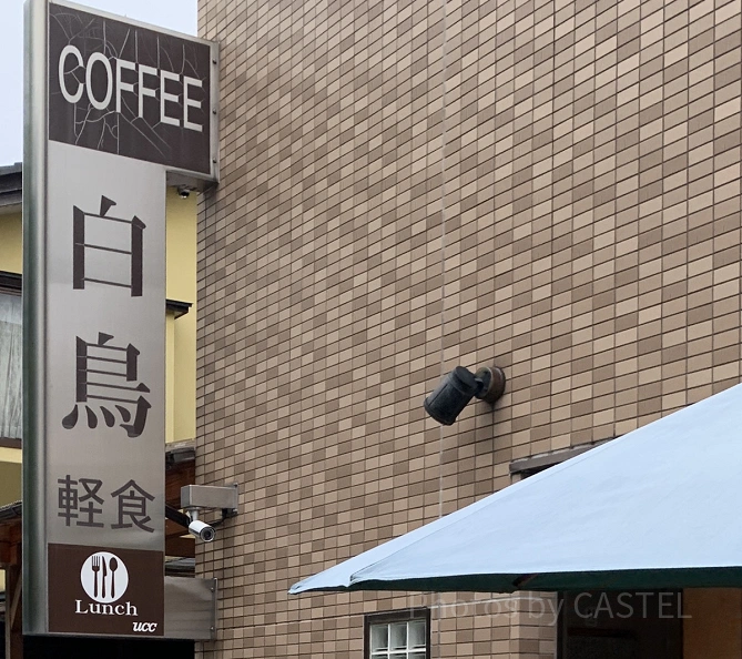 白鳥