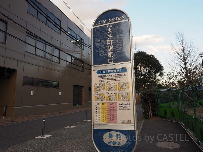 大井町駅からは無料の送迎バスが出ています