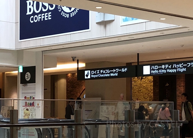 日本の空港の様子