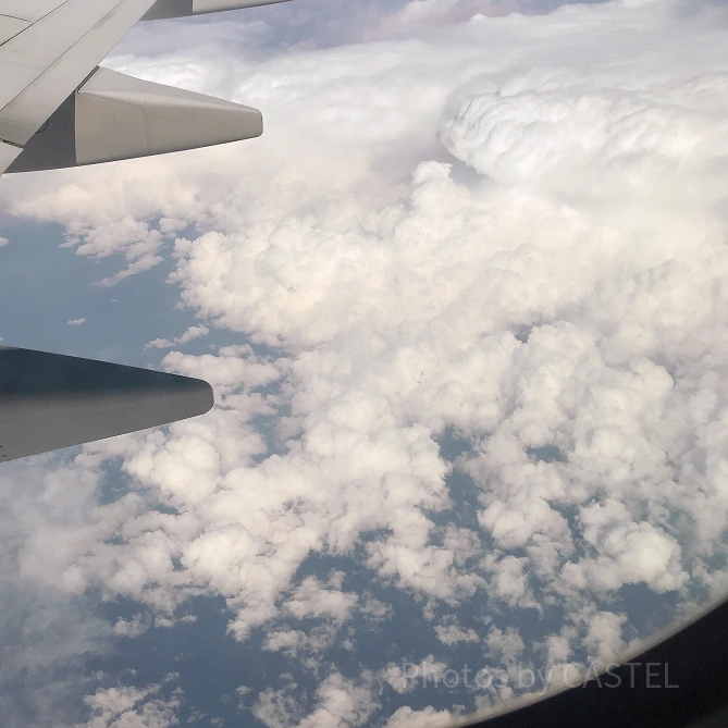飛行機