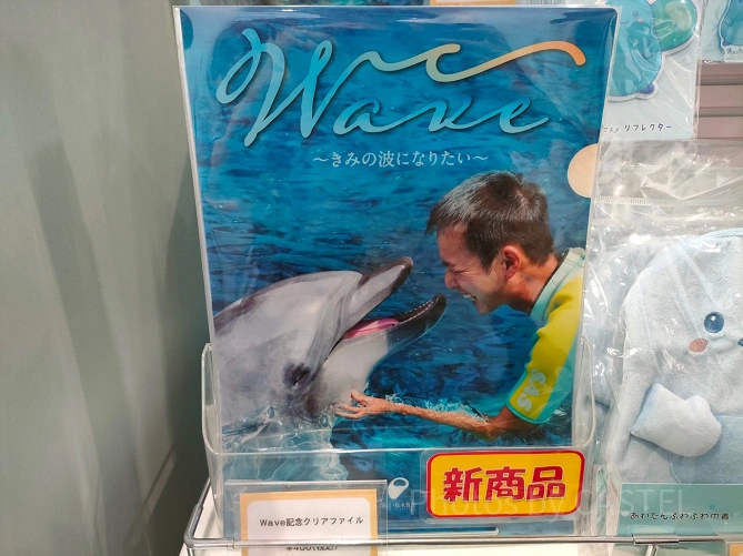 新江ノ島水族館（えのすい）お土産：Wave~きみの波になりたい~クリアファイル
