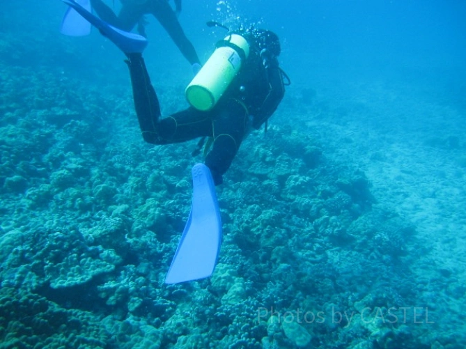 ハワイブルーの海