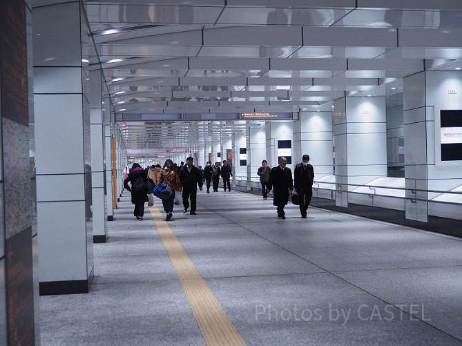新宿駅近郊