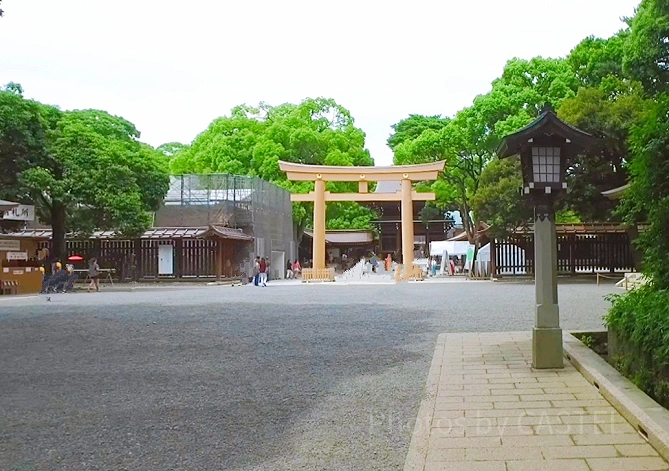 明治神宮
