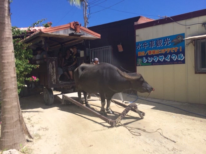 水牛車