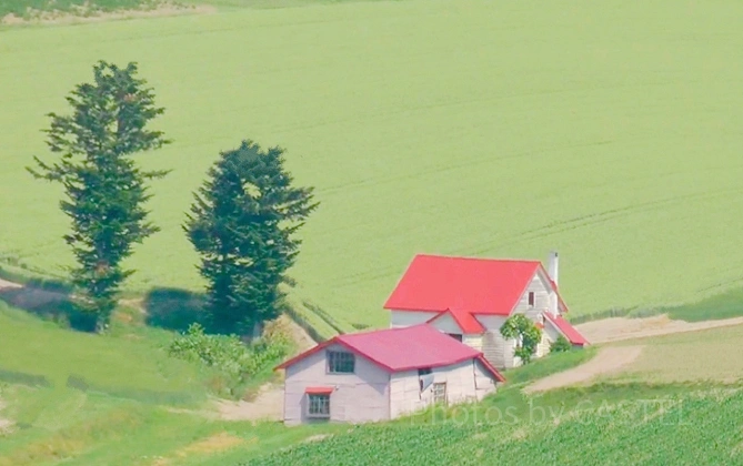 赤い屋根の家