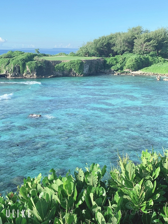 海