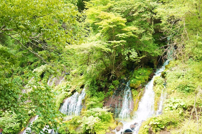 白ひげの滝