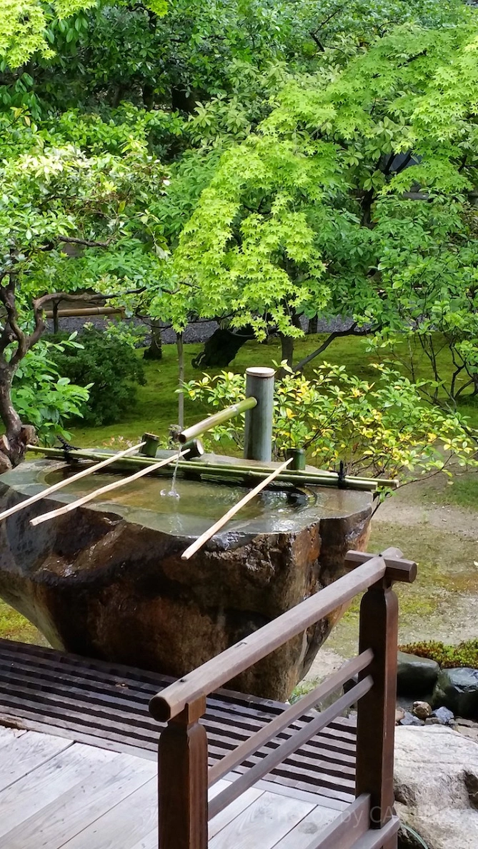 わびさびを感じる建仁寺の庭園