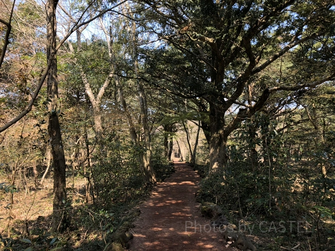 ピジャリムの遊歩道