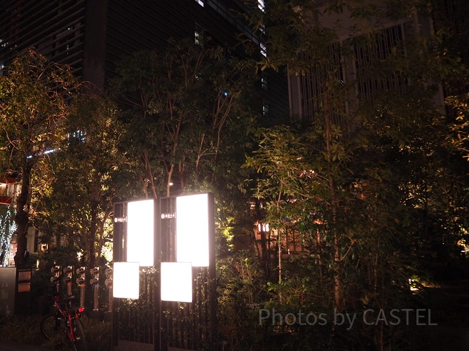 屋上庭園
