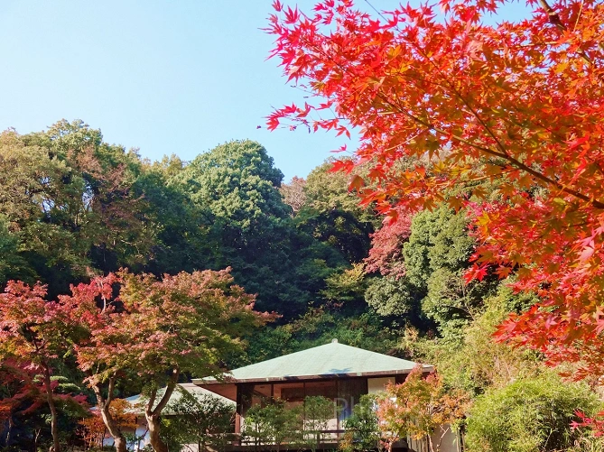 四季が楽しめる明月院