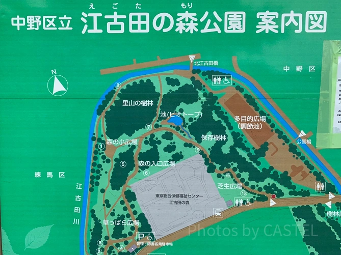 江古田の森公園の案内図