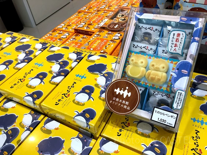 てのひらペンギン