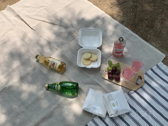 ピクニック