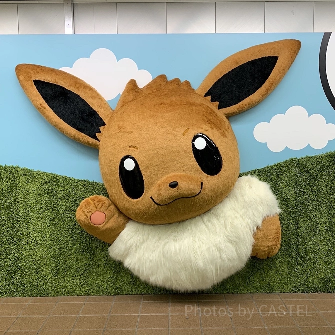 イーブイの大行進