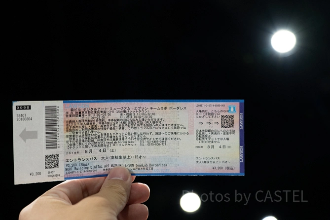 チームラボボーダレスお台場のチケット