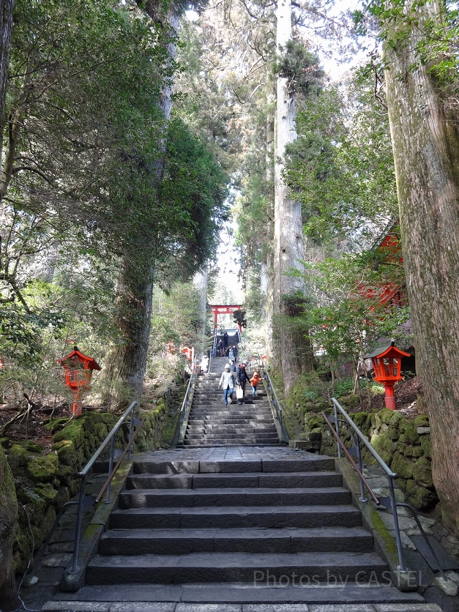 箱根神社