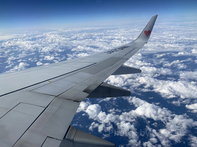 機内からの景色