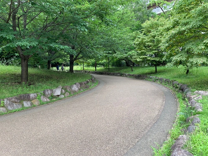 江古田の森公園のランニングコース