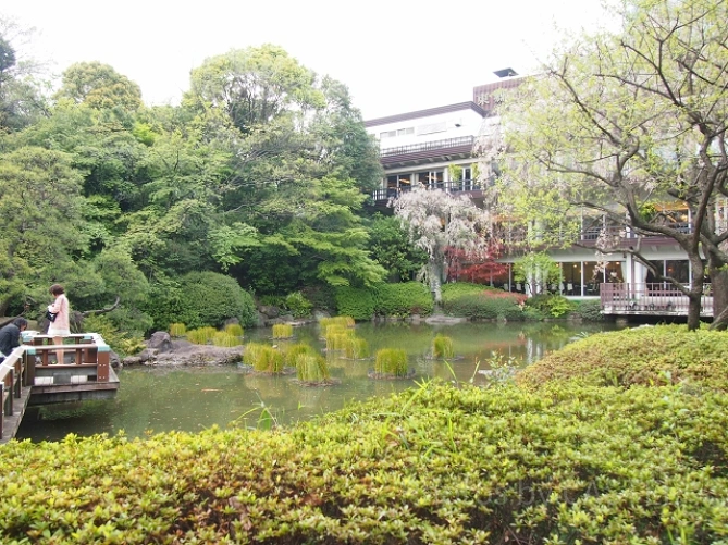 東郷神社庭園