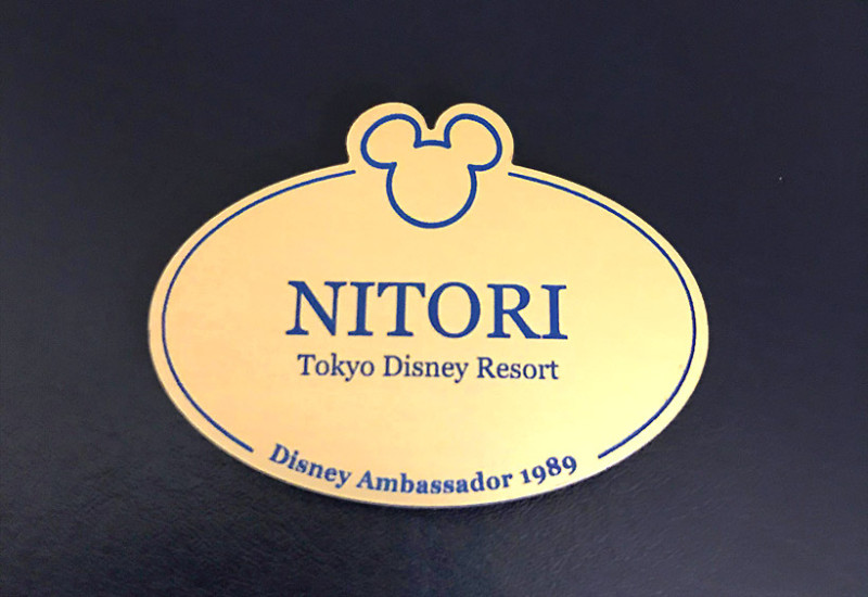 歴代アンバサダーピン