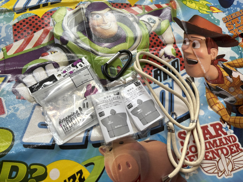 ディズニーの持ち物を100均で節約！おすすめのアイテム13選！