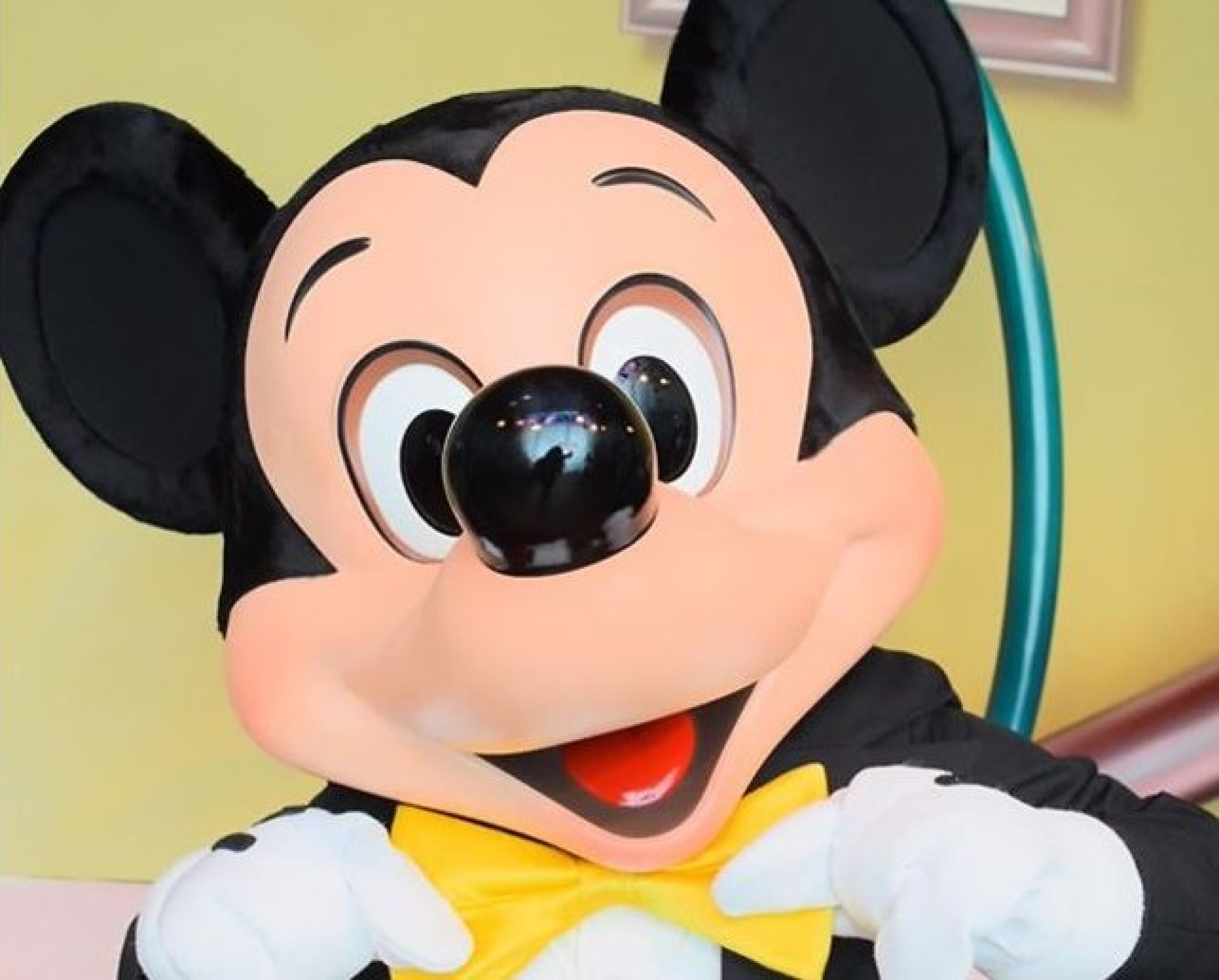 仮装初心者でもやりやすい キャステル Castel ディズニー情報